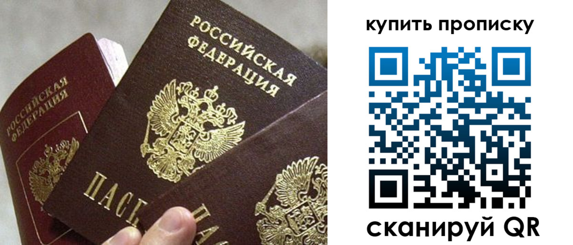 прописка для школы в Архангельске
